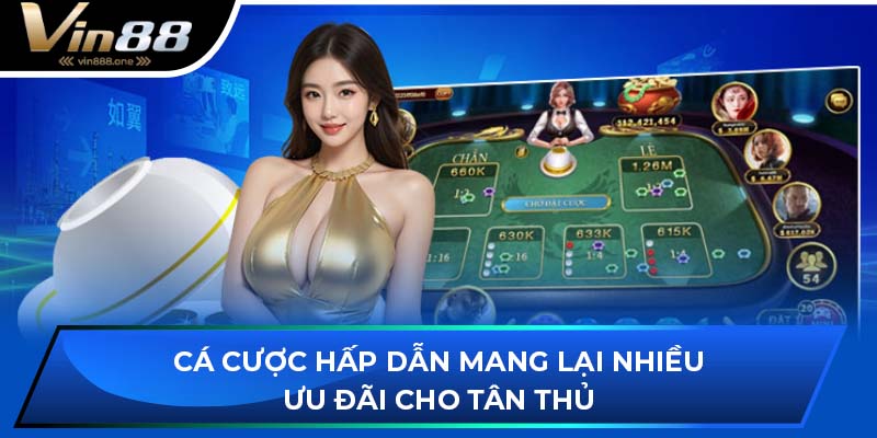 Cá cược hấp dẫn mang lại nhiều ưu đãi cho tân thủ