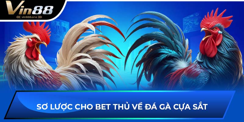 Bet thủ nghiên cứu game đá gà năm 2025