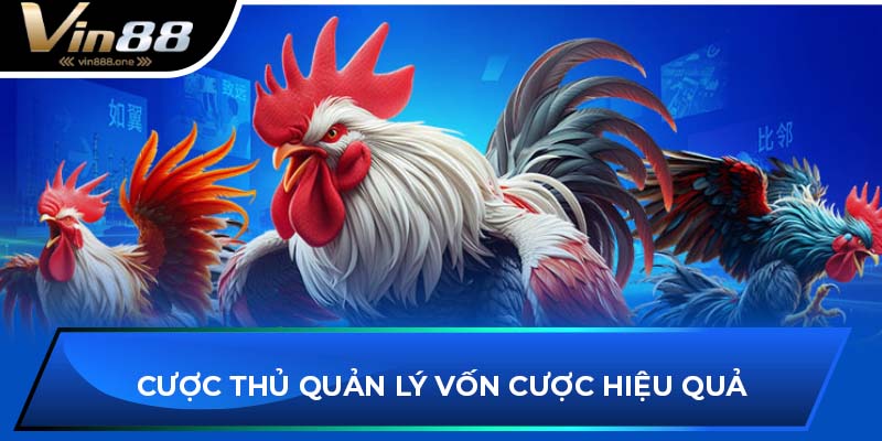 Cược thủ quản lý vốn cược hiệu quả