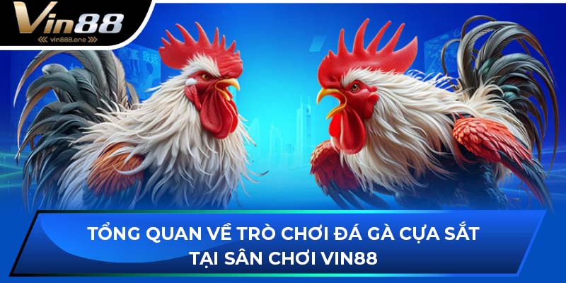 đá gà cựa sắt