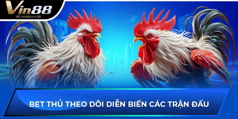 Bet thủ theo dõi diễn biến các trận đấu